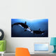 Orcas Tenderness Wall Mural