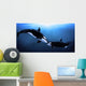 Orcas Tenderness Wall Mural