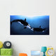 Orcas Tenderness Wall Mural