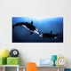 Orcas Tenderness Wall Mural