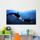 Orcas Tenderness Wall Mural