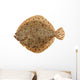 Freshly Caught Turbot (Psetta maxima) Isolated on White Wall Decal