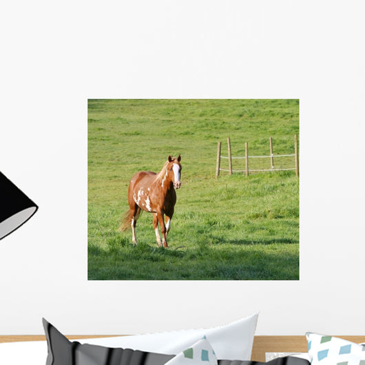Painted Mare Wall Mural