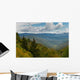 Autumn colorful foliage of trees on the slopes in Smoky Mountain Wall Mural