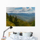 Autumn colorful foliage of trees on the slopes in Smoky Mountain Wall Mural