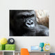 Portrait of a Male Gorilla Wall Mural