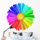 Flower Colorfull Closeup Wall Decal