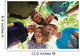 Heads Together Circle