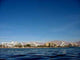 Eilat Coast Wall Decal