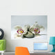 Zen Wall Mural