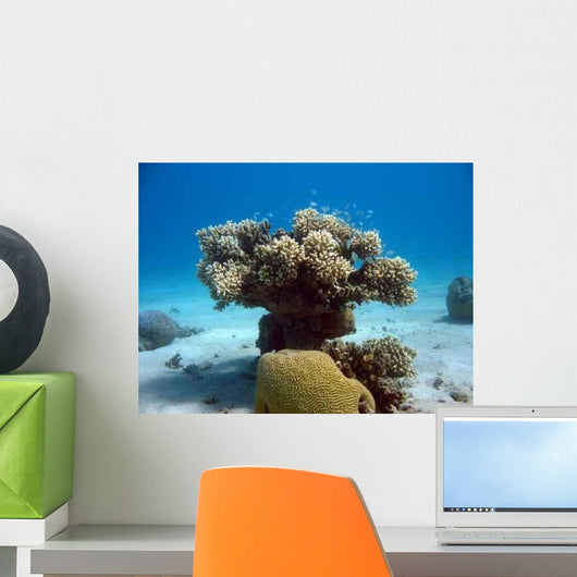 Coral Tree Wall Decal