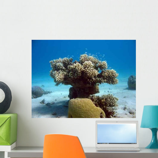 Coral Tree Wall Decal