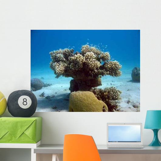 Coral Tree Wall Decal