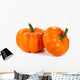 Two Pumpkins Wall Decal