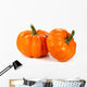 Two Pumpkins Wall Decal
