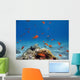 Scalefin Anthias Wall Decal