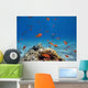 Scalefin Anthias Wall Decal