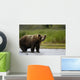 Big Brown Bear Standing Wall Mural
