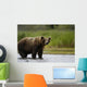 Big Brown Bear Standing Wall Mural