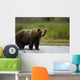 Big Brown Bear Standing Wall Mural