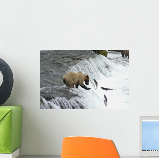 Brown Bear Trying to Catch Salmon Wall Mural