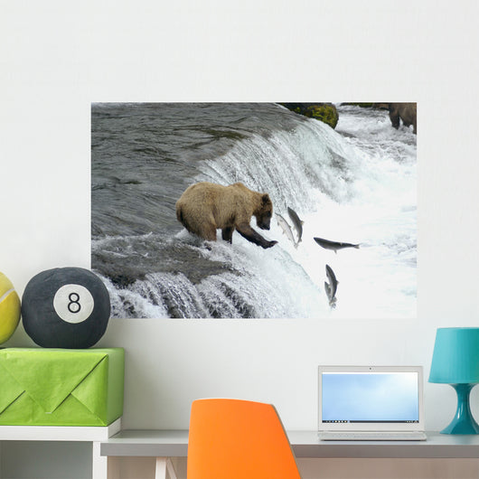 Brown Bear Trying to Catch Salmon Wall Mural