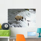 Brown Bear Trying to Catch Salmon Wall Mural