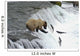 Brown Bear Trying to Catch Salmon Wall Mural