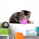 Tabby kitten playing with toy Wall Decal