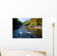 Swallow Falls Maryland Wall Mural
