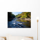 Swallow Falls Maryland Wall Mural