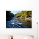Swallow Falls Maryland Wall Mural