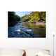 Swallow Falls Maryland Wall Mural