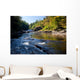 Swallow Falls Maryland Wall Mural