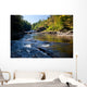 Swallow Falls Maryland Wall Mural