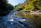 Swallow Falls Maryland Wall Mural