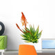 Aloe Wall Decal
