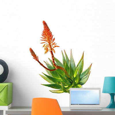 Aloe Wall Decal shown on a wall