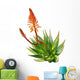 Aloe Wall Decal