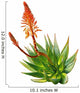 Aloe Wall Decal