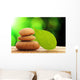 Zen Wall Mural