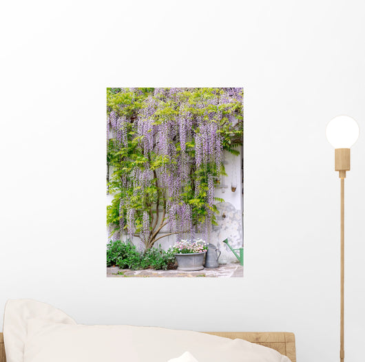 wisteria Wall Mural