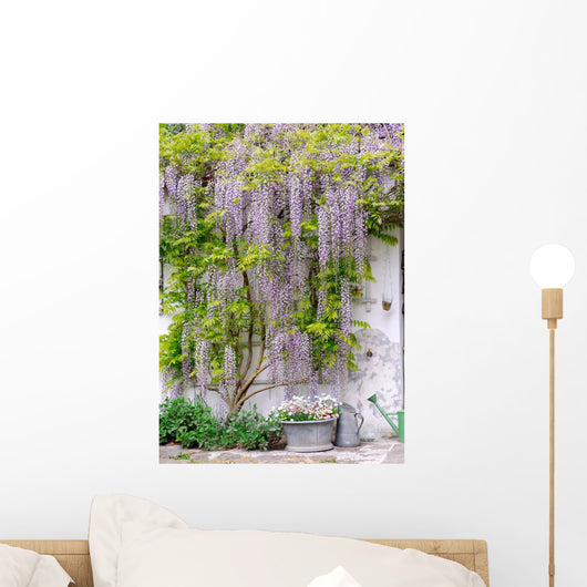 wisteria Wall Mural
