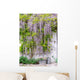 wisteria Wall Mural