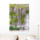 wisteria Wall Mural