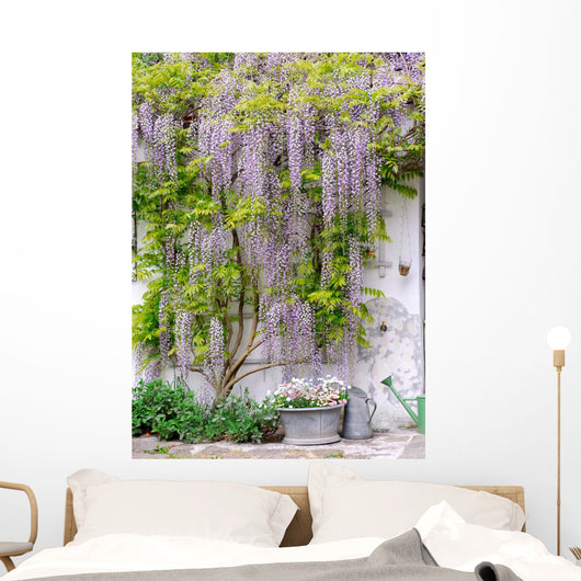 wisteria Wall Mural