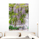 wisteria Wall Mural