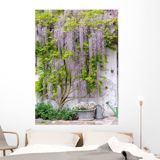 wisteria Wall Mural