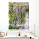 wisteria Wall Mural