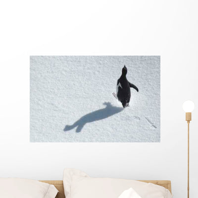 Running Penguin Wall Decal shown on a wall